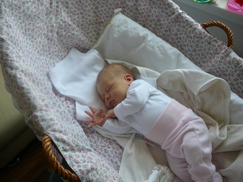 P1070591_resize