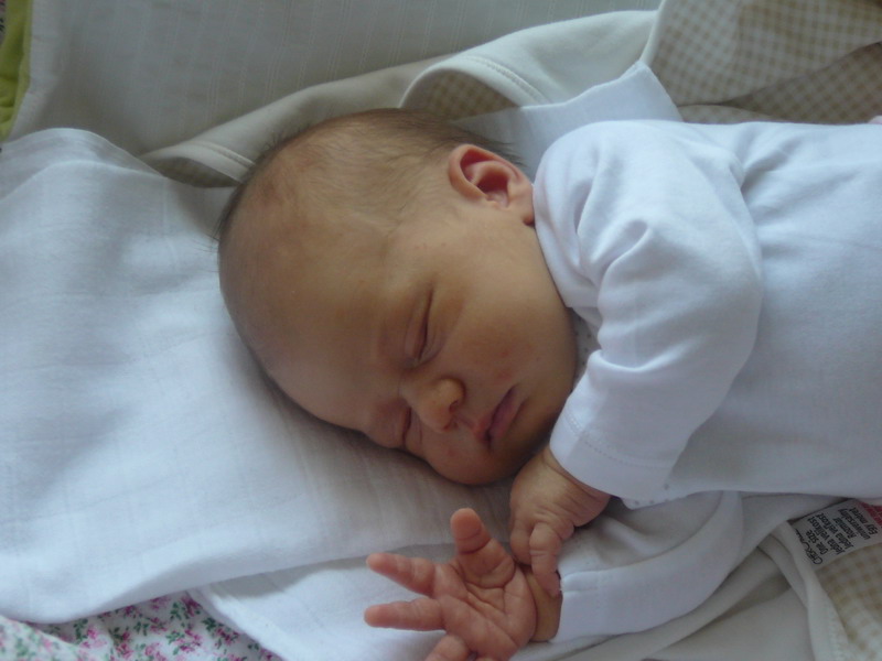 P1070592_resize