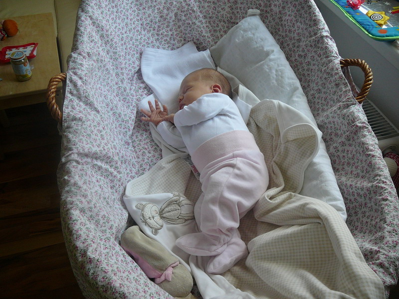 P1070596_resize