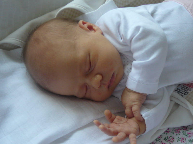 P1070597_resize