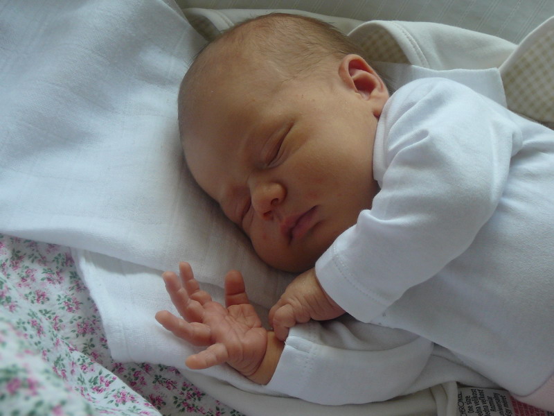P1070598_resize